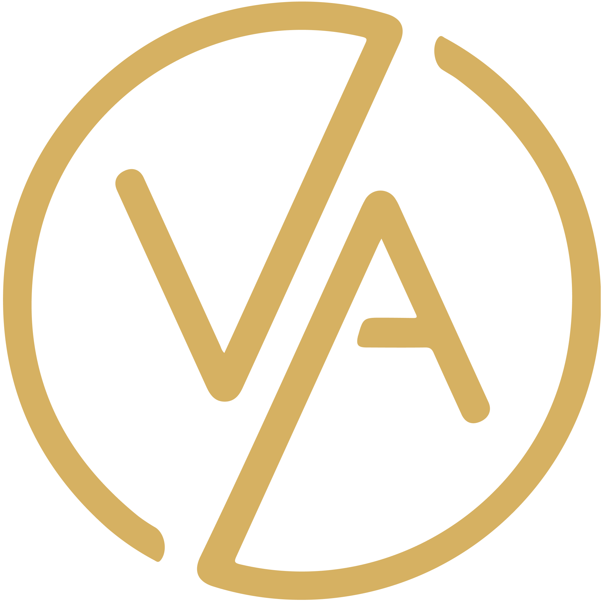 Vasky logo